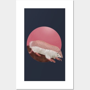 Pink Fairy Armadillo Posters and Art